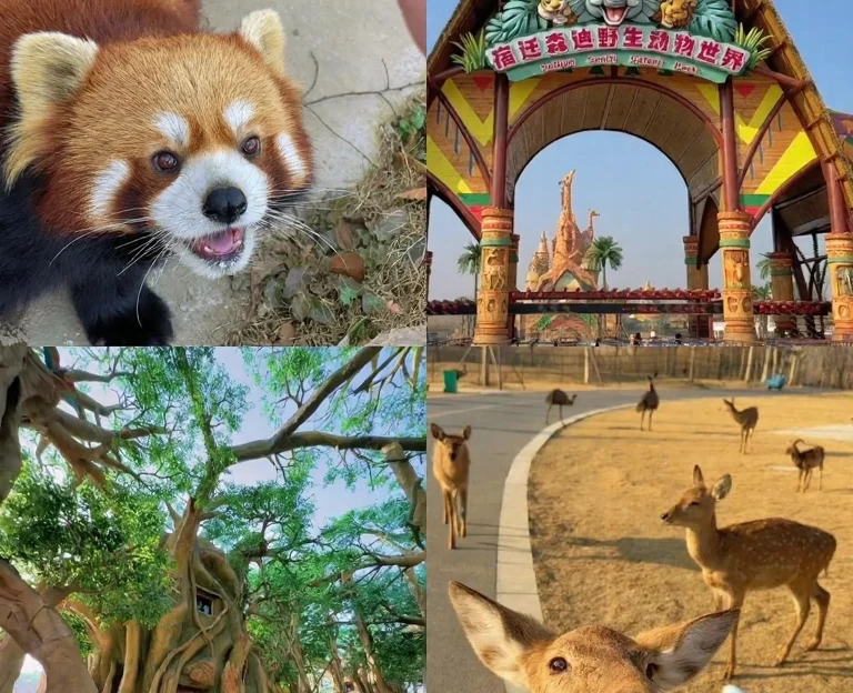 宿迁旅游 1
