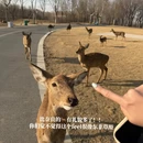 宿迁旅游 缩略图 6