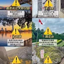 南京旅游 缩略图 3