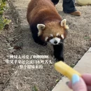 宿迁旅游 缩略图 2