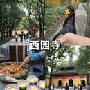 苏州旅游 缩略图 2