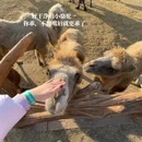 宿迁旅游 缩略图 7