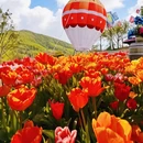 无锡旅游 缩略图 8