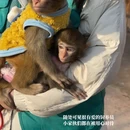 宿迁旅游 缩略图 10