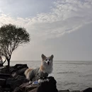 苏州旅游 缩略图 6