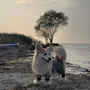 苏州旅游 缩略图 7