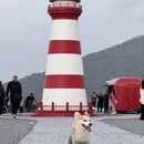 苏州旅游 缩略图 5