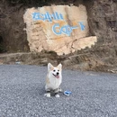 苏州旅游 缩略图 2