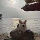 苏州旅游 缩略图 8