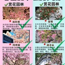 苏州旅游 缩略图 5