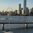 苏州旅游 缩略图 11