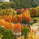 南京旅游 缩略图 1