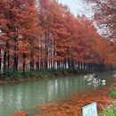 苏州旅游 缩略图 2
