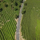 南京旅游 缩略图 12
