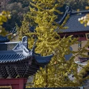 南京旅游 缩略图 11