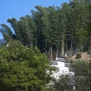 南京旅游 缩略图 7
