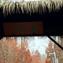 苏州旅游 缩略图 6