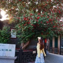 泰州旅游 缩略图 12