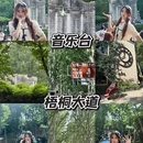 南京旅游 缩略图 2