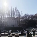 南京旅游 缩略图 7