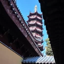 南京旅游 缩略图 5