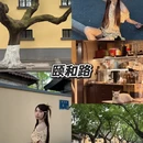 南京旅游 缩略图 4