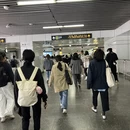 上海旅游 缩略图 1