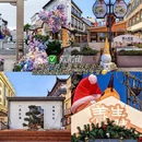 苏州旅游 缩略图 5