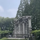 杭州旅游 缩略图 16