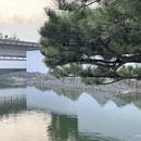 杭州旅游 缩略图 8
