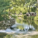 杭州旅游 缩略图 13