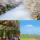 南通旅游 缩略图 3
