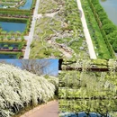 南通旅游 缩略图 4