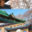 南京旅游 缩略图 7