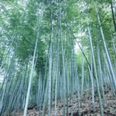 无锡旅游 缩略图 2