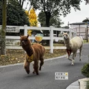 常州旅游 缩略图 9