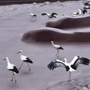 无锡旅游 缩略图 10