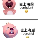 上海旅游 缩略图 1