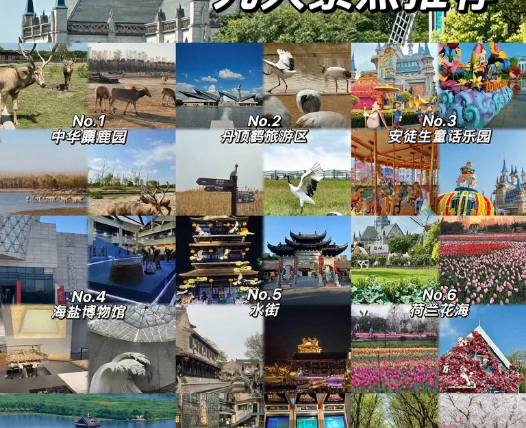盐城旅游 1