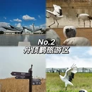 盐城旅游 缩略图 3