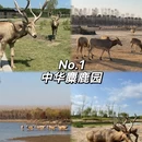 盐城旅游 缩略图 2