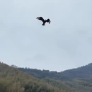 无锡旅游 缩略图 11