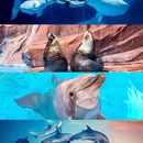 上海旅游 缩略图 6