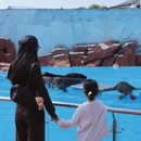 上海旅游 缩略图 5