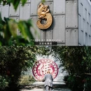 徐州旅游 缩略图 17