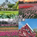 盐城旅游 缩略图 7