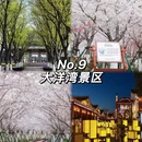 盐城旅游 缩略图 10