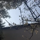 苏州旅游 缩略图 4