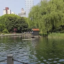 上海旅游 缩略图 7