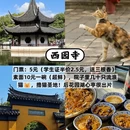 苏州旅游 缩略图 5